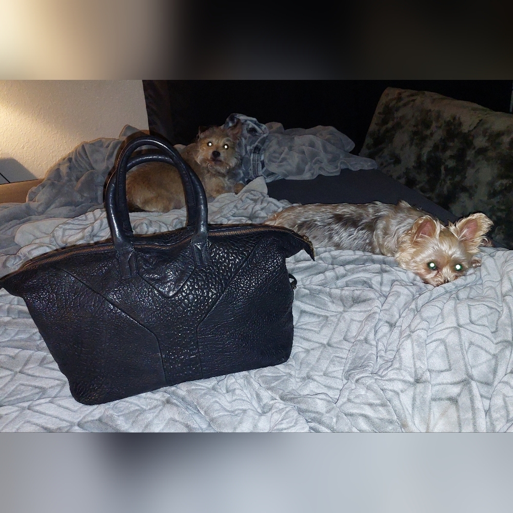 YSL Easy Y Bag